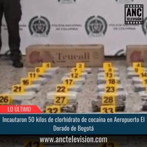 Incautaron 50 kilos de clorhidrato de cocaína.