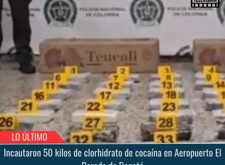 Incautaron 50 kilos de clorhidrato de cocaína.