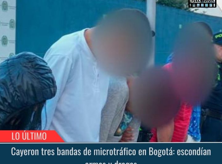 Escondían armas y drogas.