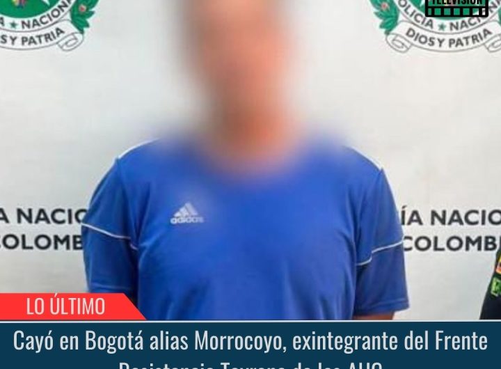 Cayó en Bogotá alias Morrocoyo.