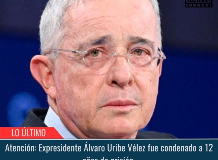 Condenado a 12 años de prisión.
