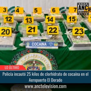 Policía incautó 25 kilos de clorhidrato.
