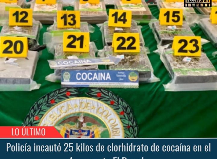 Policía incautó 25 kilos de clorhidrato.