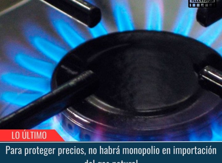 Importación del gas natural.