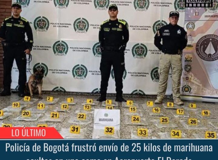 Policía de Bogotá frustró envío de 25 kilos de marihuana.