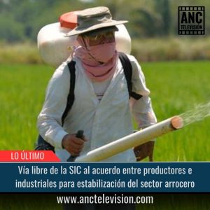 Estabilización del sector arrocero.