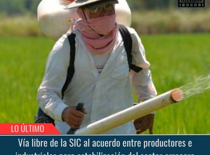 Estabilización del sector arrocero.