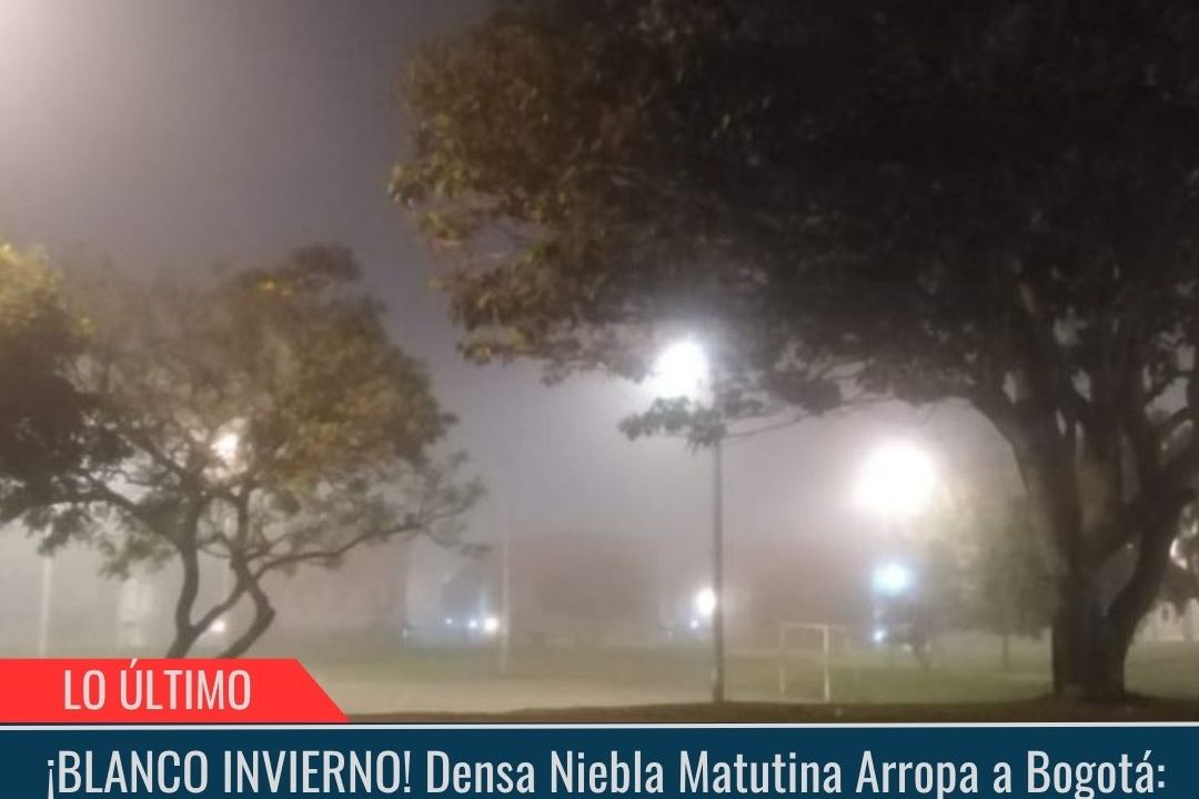 ¡BLANCO INVIERNO!.