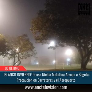 ¡BLANCO INVIERNO!.