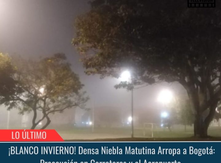 ¡BLANCO INVIERNO!.