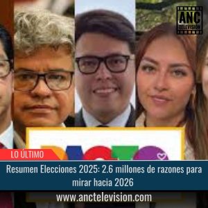 Resumen Elecciones 2025.
