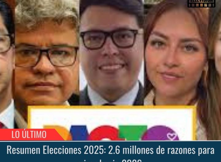 Resumen Elecciones 2025.