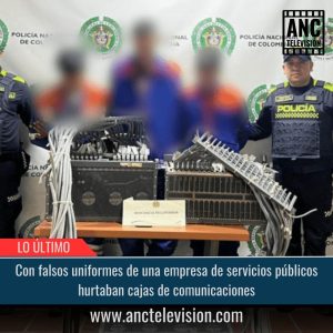 Hurtaban cajas de comunicaciones.