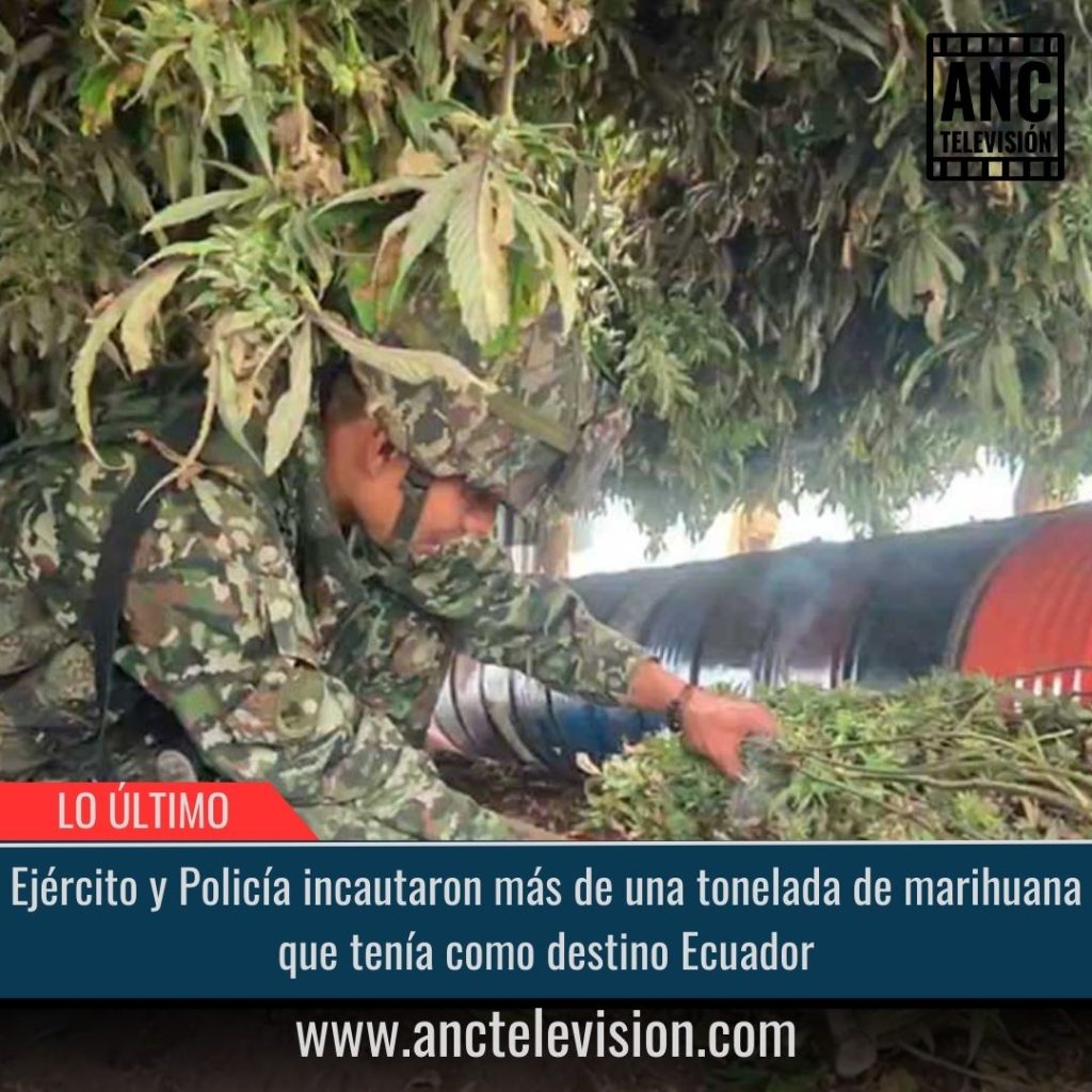 Ejército y Policía incautaron más de una tonelada de marihuana.