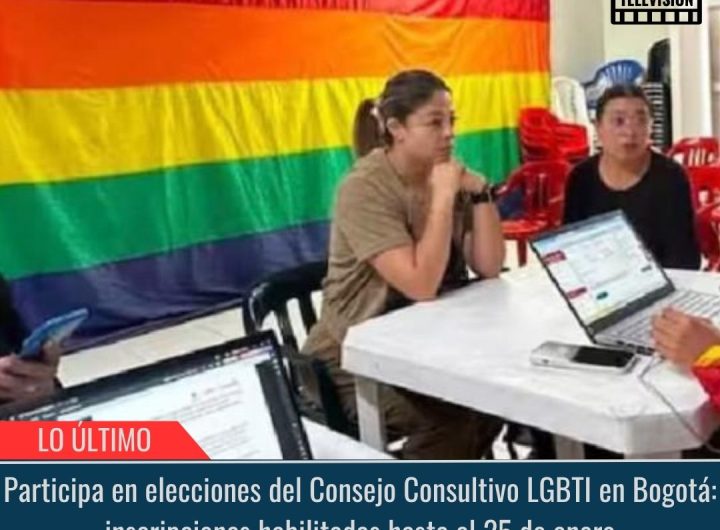 Participa en elecciones del Consejo Consultivo LGBTI en Bogotá.